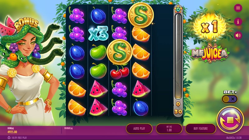 Mejuicea