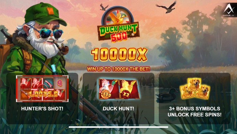 Duck Hunt 500